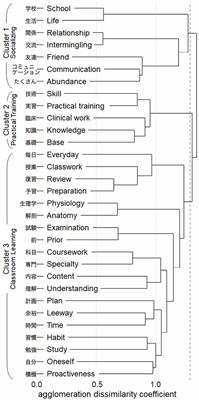 An evaluation of rehabilitation students’ <mark class="highlighted">learning goals</mark> in their first year: a text mining approach